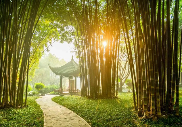 早起（qǐ）三不要，飯後三不急，睡前三不（bú）宜